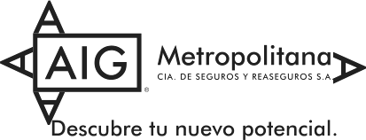 AIG Metropolitana